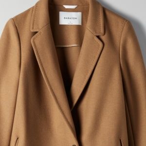 Aritzia The Stedman Coat